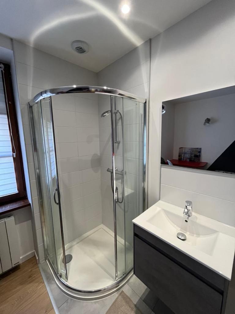 Appartement Superbe Atypique Au Coeur De Mulhouse